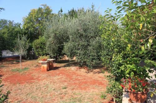 Apartment Umag 6992a - image 5