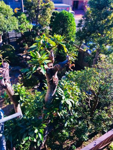 鎌倉澤傑旅館