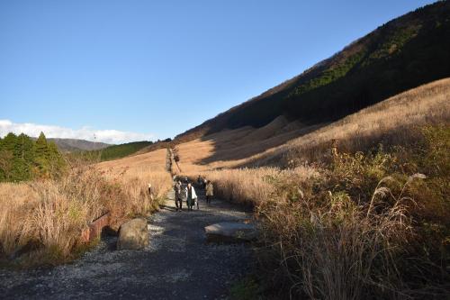 Hakone Guest House gaku. - image 2