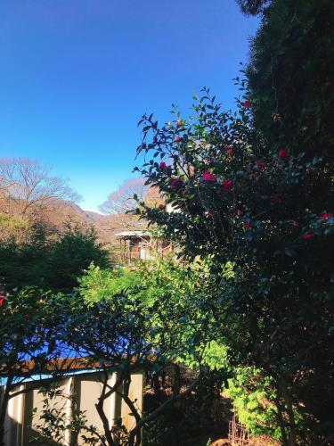 Onsen & Garden -Asante Inn-
