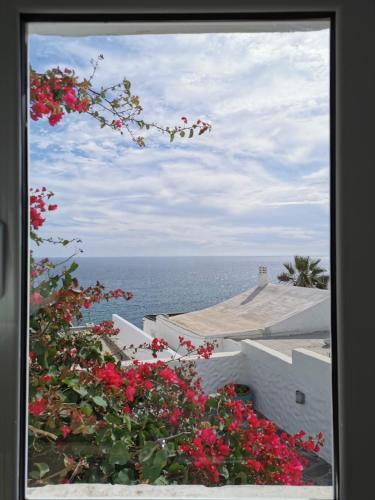 San Agustín Seaviews and flowers