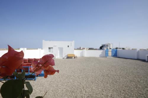 Ras Al Hadd Orchid