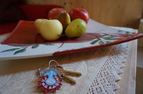 La Ücia by Fana Ladina