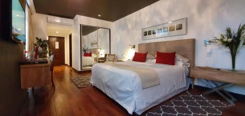 MG Design Hotel Boutique in 萨尔塔