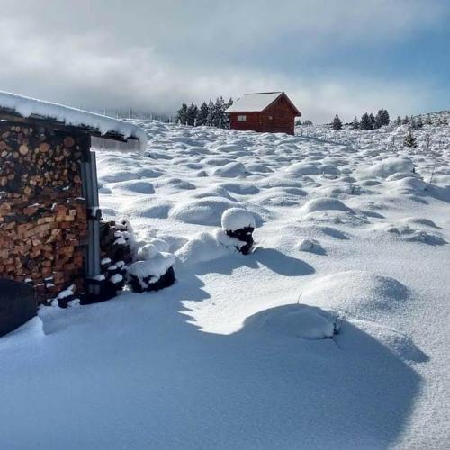 Cabanas Muller in Junín de los Andes