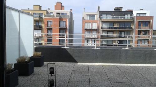  Dakstudio Met Reuze Zonneterras in Middelkerke