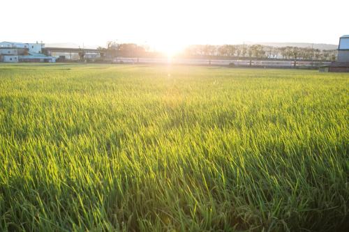 Bližnja okolica, Tree House Cafe & Homestay in Okraj Tongluo