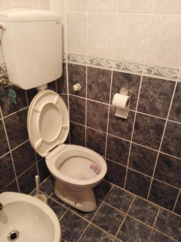 Divčibarski Biser - image 7