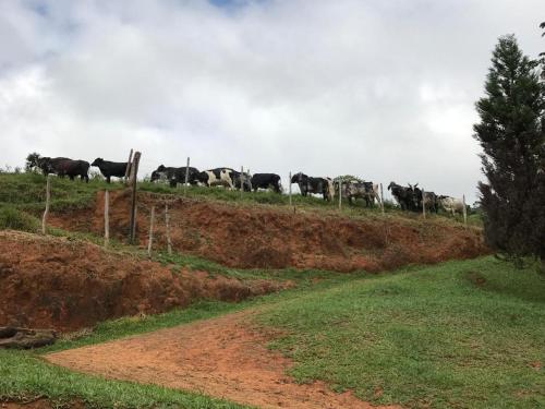 Rancho Luna D'oro - Ótimo lugar para descansar