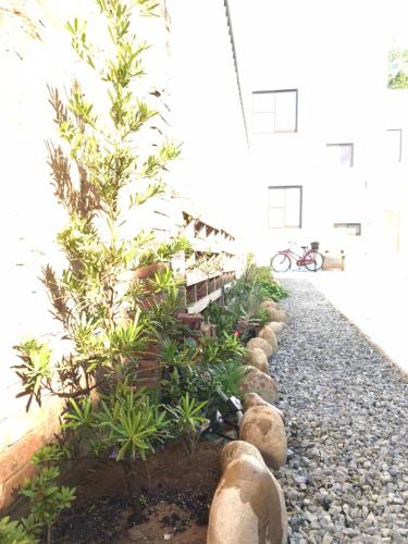 razgled, Tree House Cafe & Homestay in Okraj Tongluo