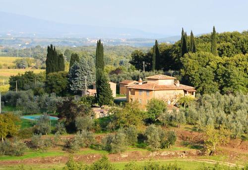 Petrolo - image 4