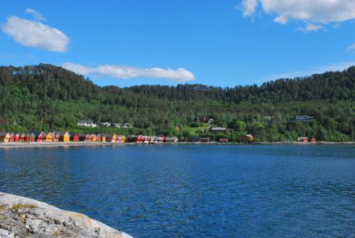 Sjøholt Camping - main image