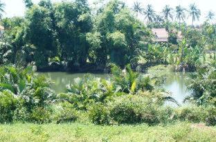 Red House Homestay - Villa, Hội An (Foto 8)