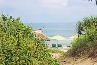An Bang Purple Homestay, Hội An (photo 3)