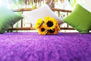 An Bang Purple Homestay, Hội An (photo 7)