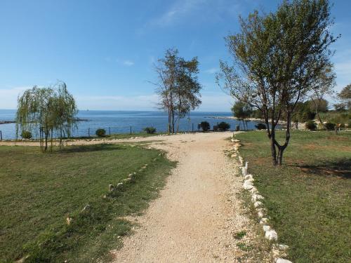 Residence Lavanda - image 7