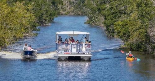 everglades boat tours flamingo