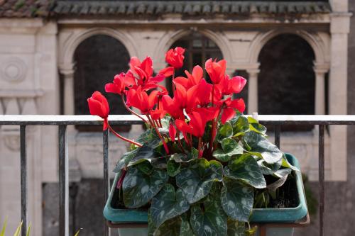 B&B Terrazza Santa Chiara