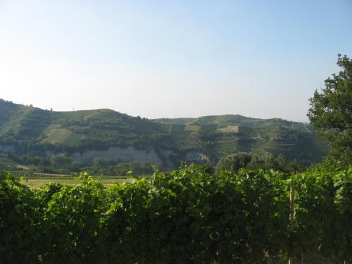 Agriturismo Cascina Serra - image 11