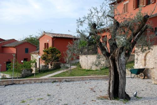 Tenuta San Savino delle Rocchette