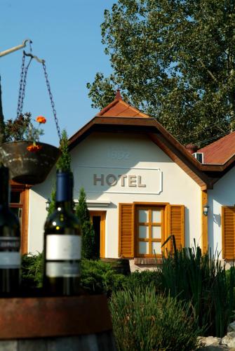 Hotel Vineyard Inn - Szőlőskert