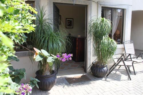 Vestíbulo, Hotel Santa Maria Inn in Alajuela