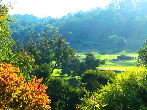 ทัศนียภาพ, Brookvale House Balingup in บาลิงอัป