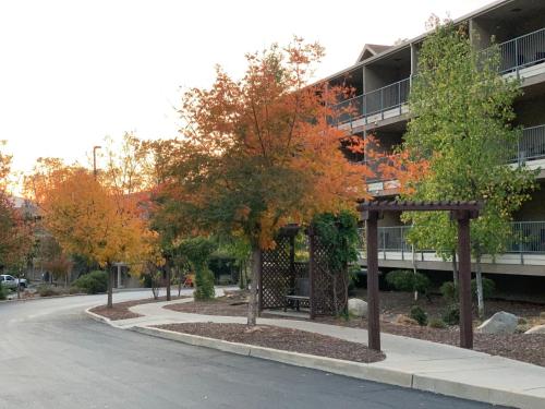 Yosemite View Lodge