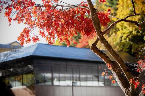 Tateshina Shinyu Onsen