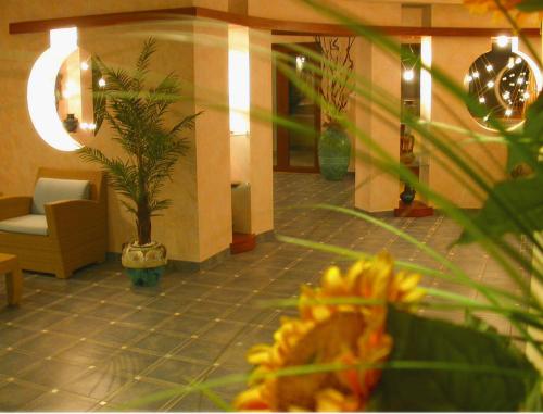 Tonicello Hotel Resort & SPA - image 4