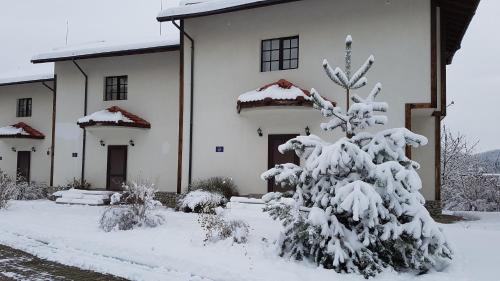 Pinerose Resort - image 10