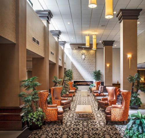 Crowne Plaza Phoenix Airport an IHG Hotel - image 9