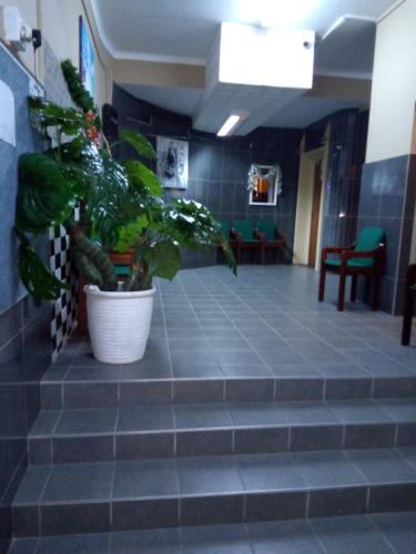 Holiday Accomodation In Durban South Africa Reviews Prices