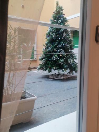 Galliera Residence B&B, Bologna (photo 9)