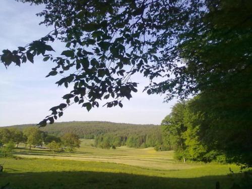 Ferienwohnungen Zeltnerhof in Breitenbrunn, Deutschland