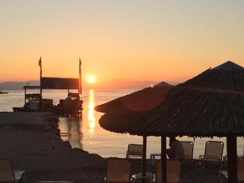 Eros Beach Hotel - image 9