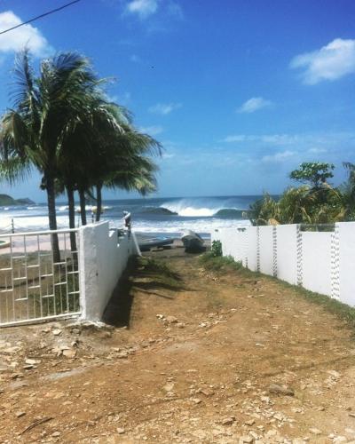 Bananoz Surfhouse photo