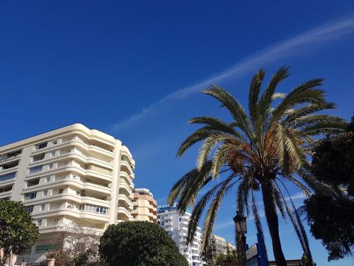 Beachfront Apartment Marbella Center