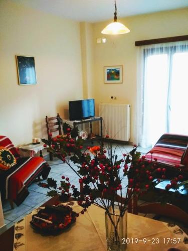  Goldie's apartment in 32004 Arachova