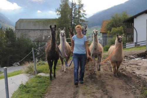 Ferienwohnung Hof Collet in Riom-Parsonz