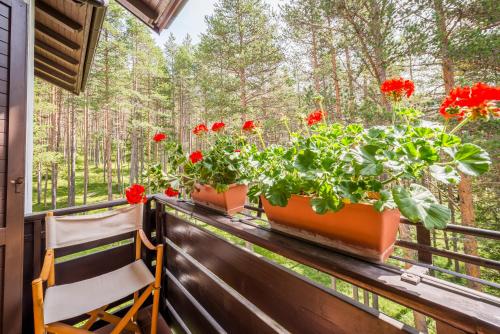  RESIDENCE ALICE NEL PAESE DELL ARMENTAROLA in St. Kassian