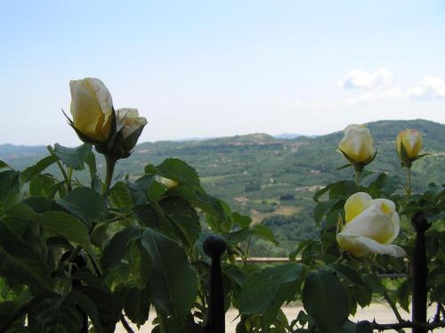Agriturismo La Cascina 3