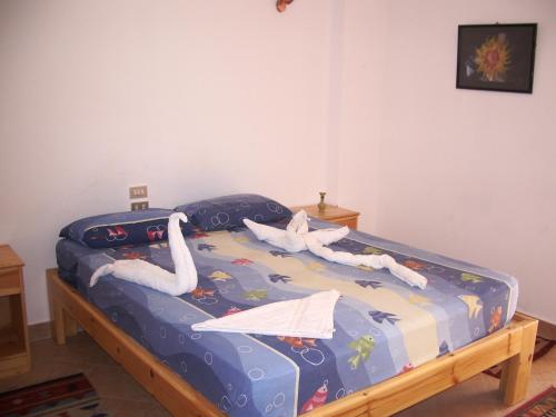 Star Of Dahab Hotel – Dahab, IN