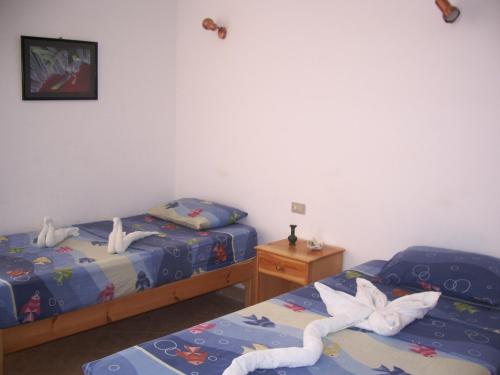Star Of Dahab Hotel – Dahab, IN