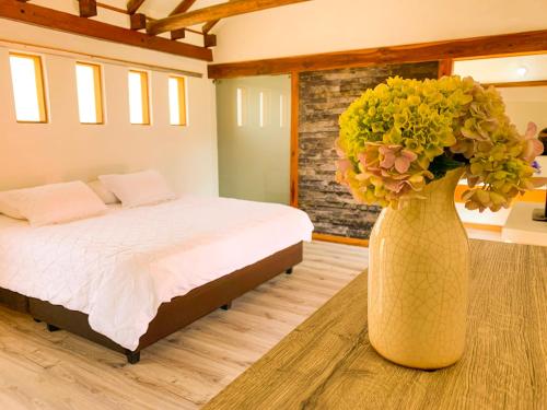 Hotel 1572 El Origen in La Rosita