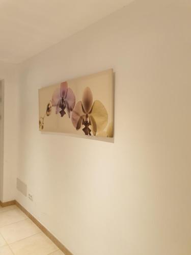 HOSTAL MARACAIBO - image 5
