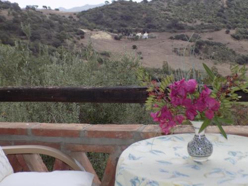 Los algarrobos gîte à louer Algatocín