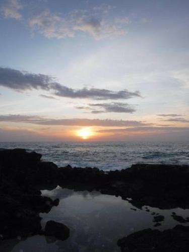 Kona White Sands A4 - image 7
