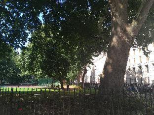 George Hotel, London (Foto 11)