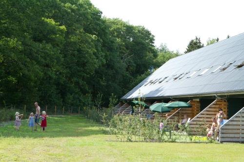 Horsetellerie Rheezerveen